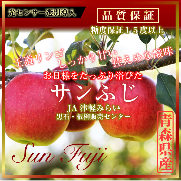 希少!!北海道 余市産 約５kg 2023年収穫 蜜入り りんご