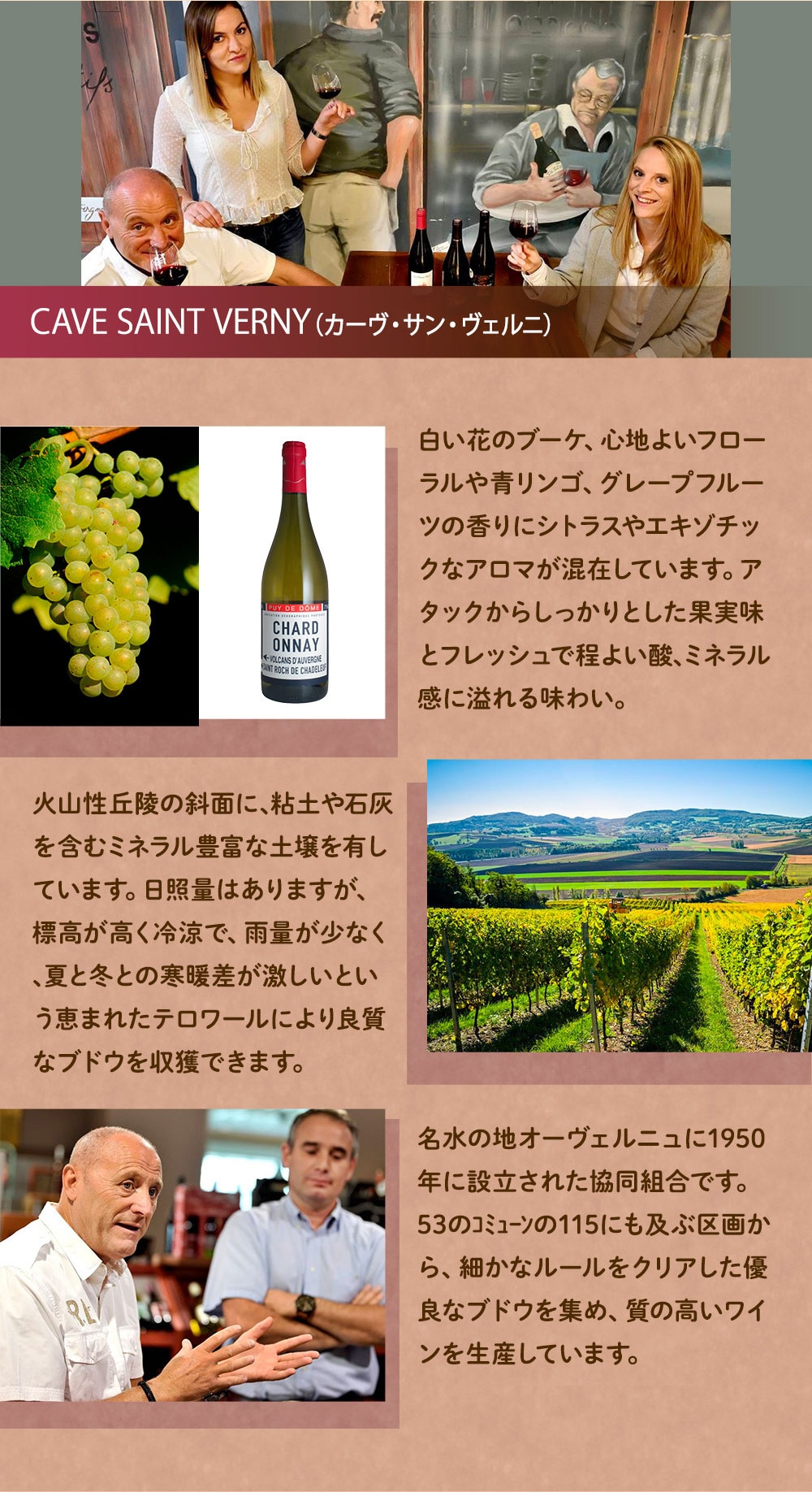 デスプラ・サン・ヴェルニ ヴァン・ド・フランス・シャルドネ 2024