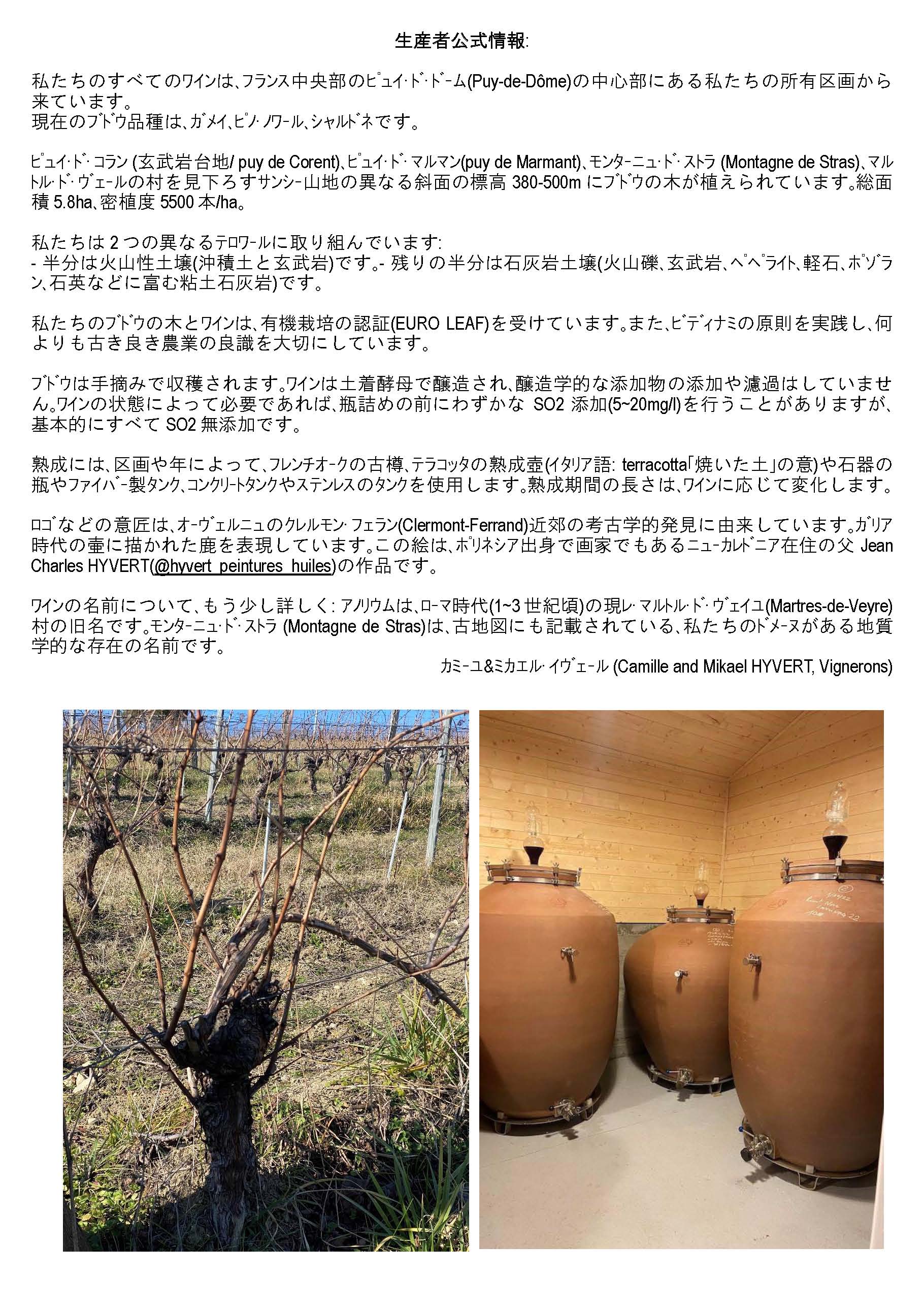 正規輸入元直営】ドメーヌ　ワイン　赤　サムライ　デ　エリュプシオン　トルイエール　2022