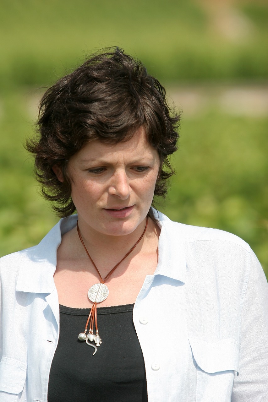 正規輸入元直営】ルモワスネ・ペール・エ・フィス / ジヴリ・ルージュ