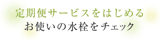 A936V-13 三栄水栓 SANEI 浄水器用水栓 最大66%OFFクーポン