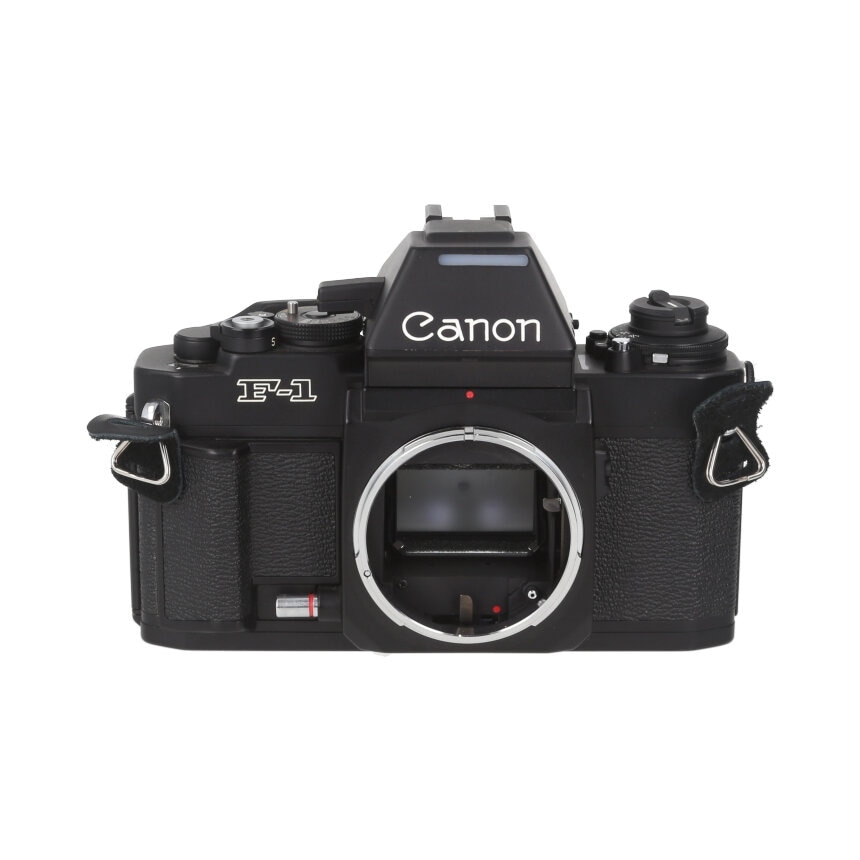 �ե�������ե����