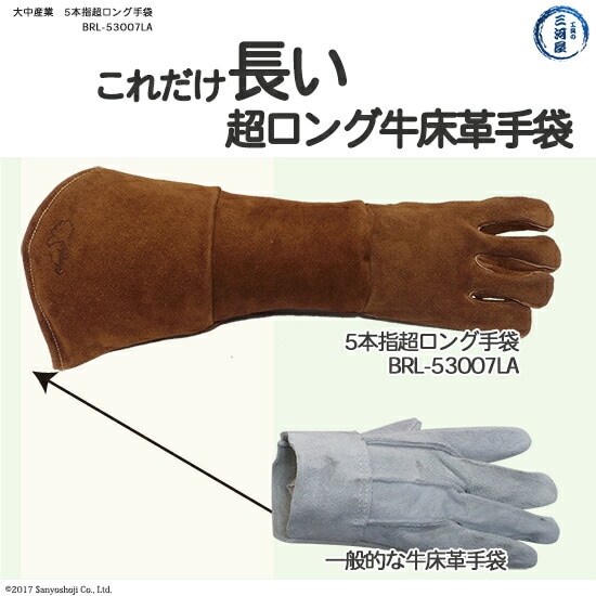 普通の革手袋とロング牛床革手袋との長さの比較