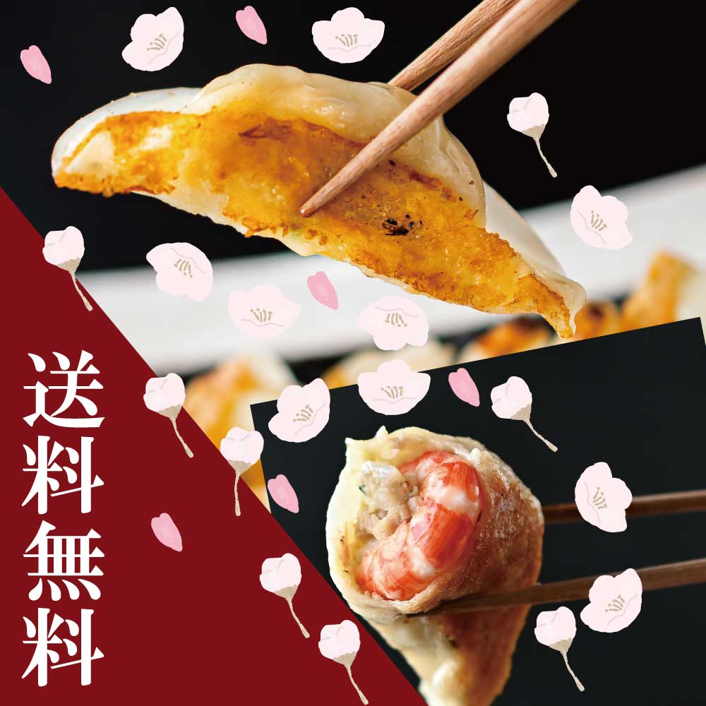 【送料無料】 ご家族で味わう北海道餃子お楽しみセット