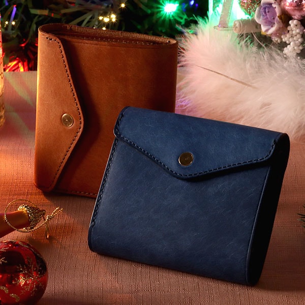 STUDIUM マイクロウォレットICグラフィー