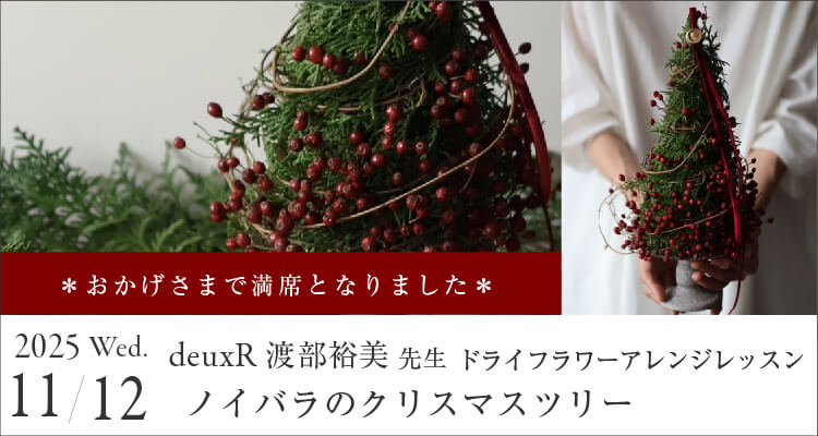 ǥߡ12ΥХΥꥹޥĥ꡼11_12