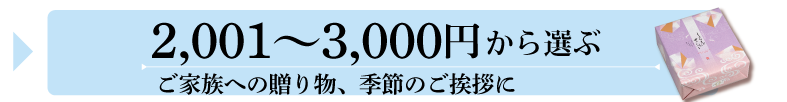 夏ギフト 価格帯 2001円〜3000円