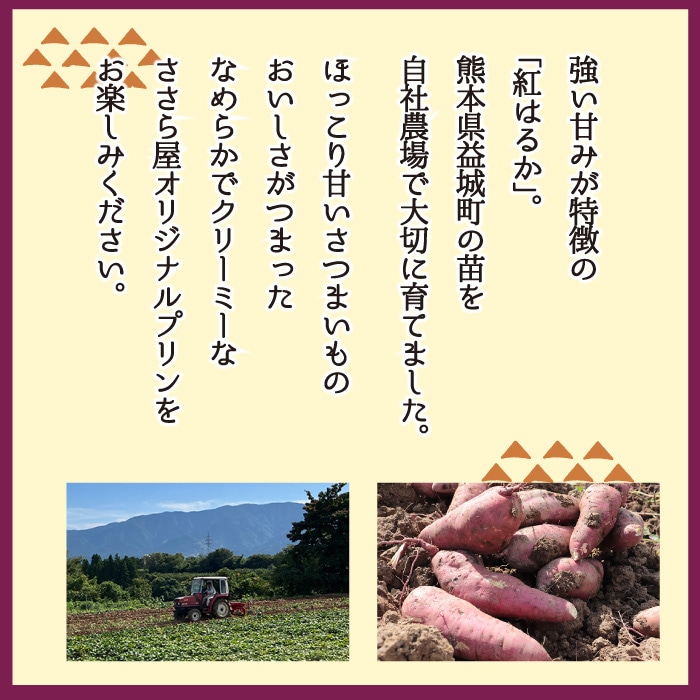 焼きいもプリン[88g] | 季節限定商品 | ささら屋オンラインショップ