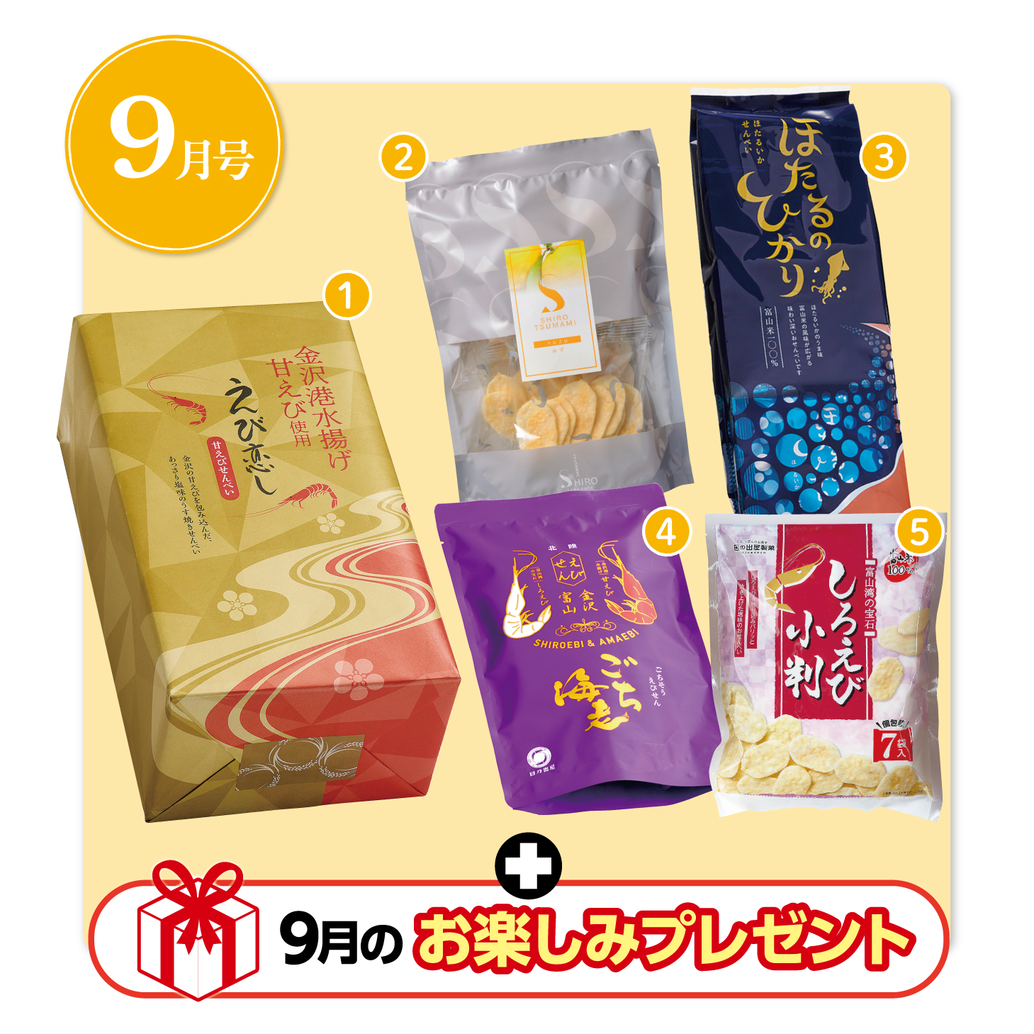 第15弾】ささら屋結いの定期便【3か月間毎月届く 秋の定期便】 | 送料