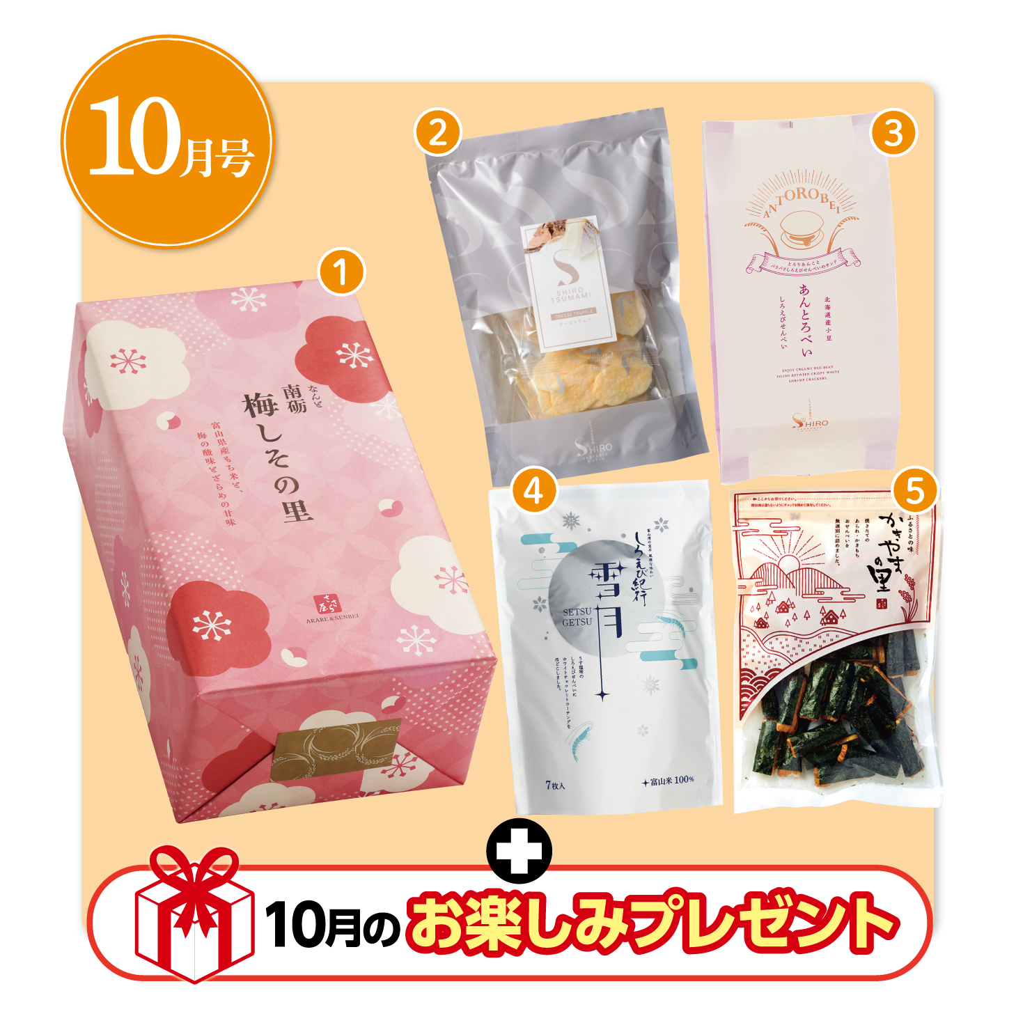 �����鲰 �뤤����� 10���ξ��ʥ饤��ʥåװ���