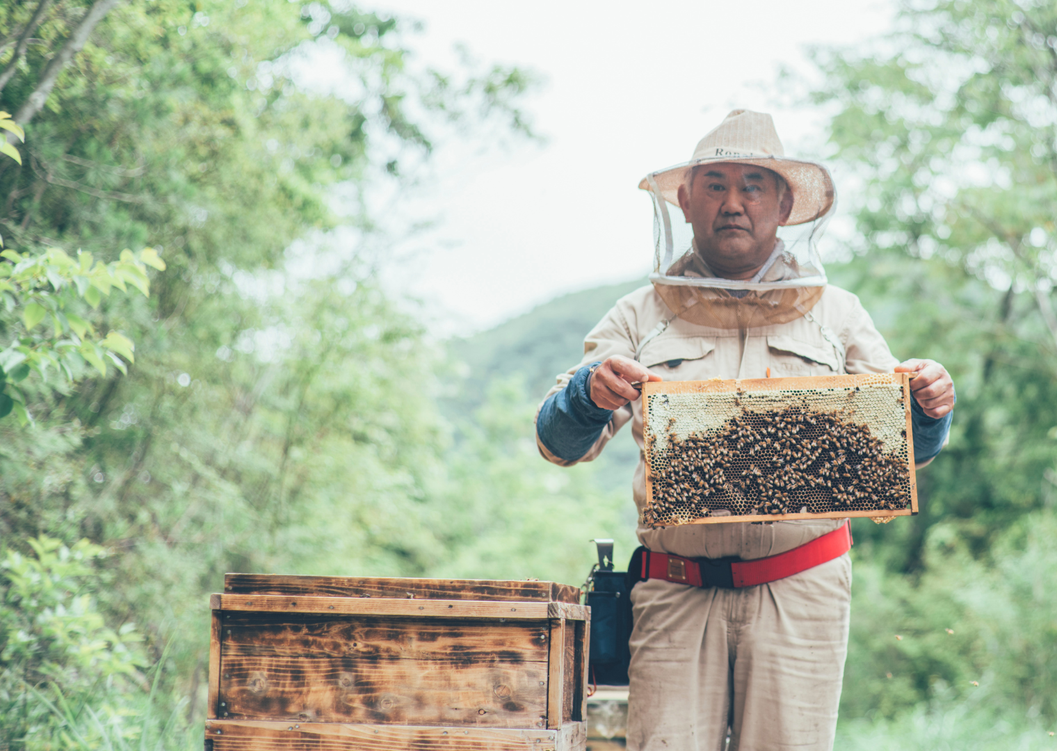 ささやまビーファームのプロダクト