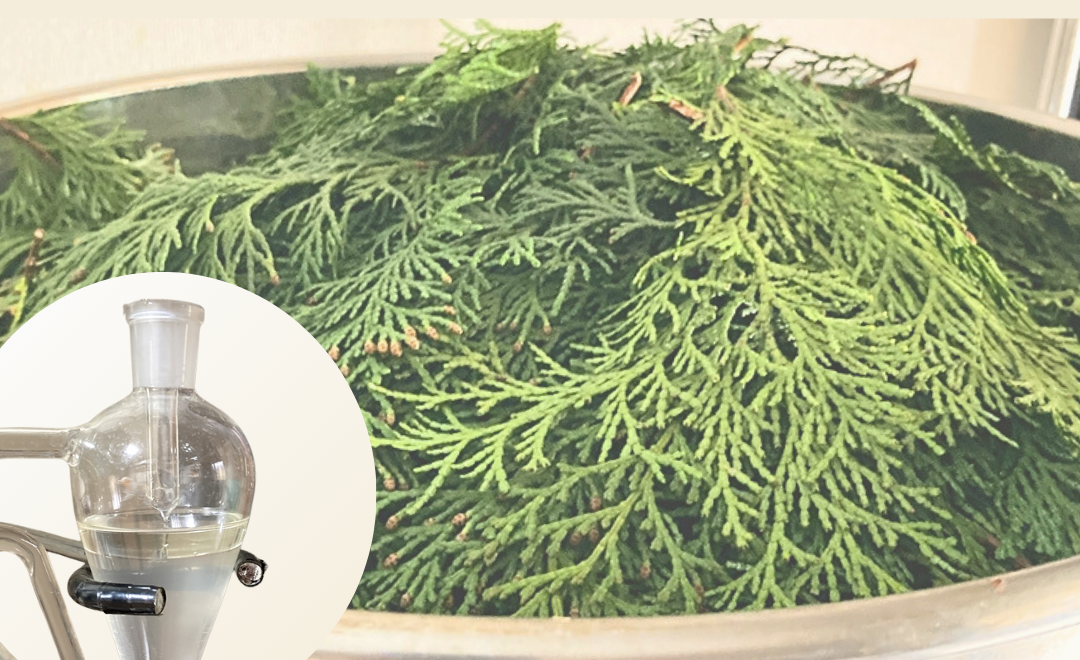 畑と森の素材を蒸留してつくる精油と芳香蒸留水