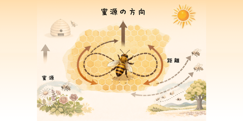 同じ花に忠実