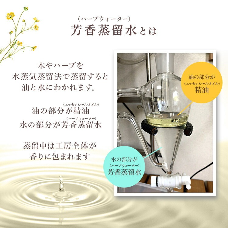 篠山精油 芳香蒸留水 メリッサ レモンバーム 100ml １本 芳香蒸留水 ささやまビーファーム