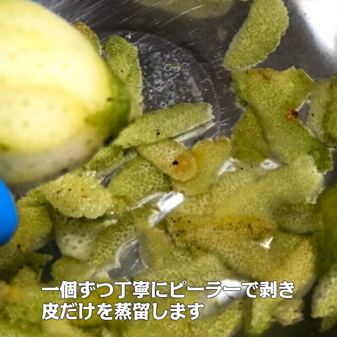 篠山精油 アロマスプレー レモン 檸檬 30ml 1本 マスクスプレー アロマスプレー ささやまビーファーム