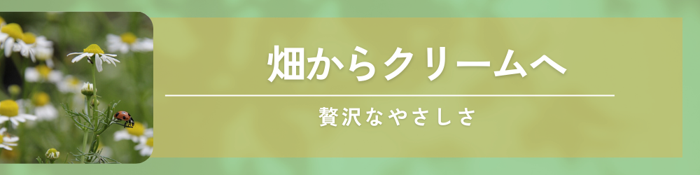 効率重視の習性