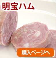 �����ϥ�