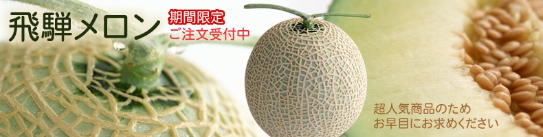 贈り物に、ご自宅の涼に、飛騨メロンミニ特集｜ファミリーストアさとう