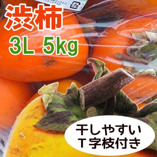 野菜 フルーツ 干し柿用渋柿 10月 11月 干し柿用 柿 渋柿 富士柿 3l 5kg 岐阜 飛騨 高山産 つるし柿 ほし柿 連柿 吊るし柿 あんぽ柿 作り ふじがき ふじ柿 購入 通販 ファミリーストアさとう 公式 飛騨高山のご当地食材
