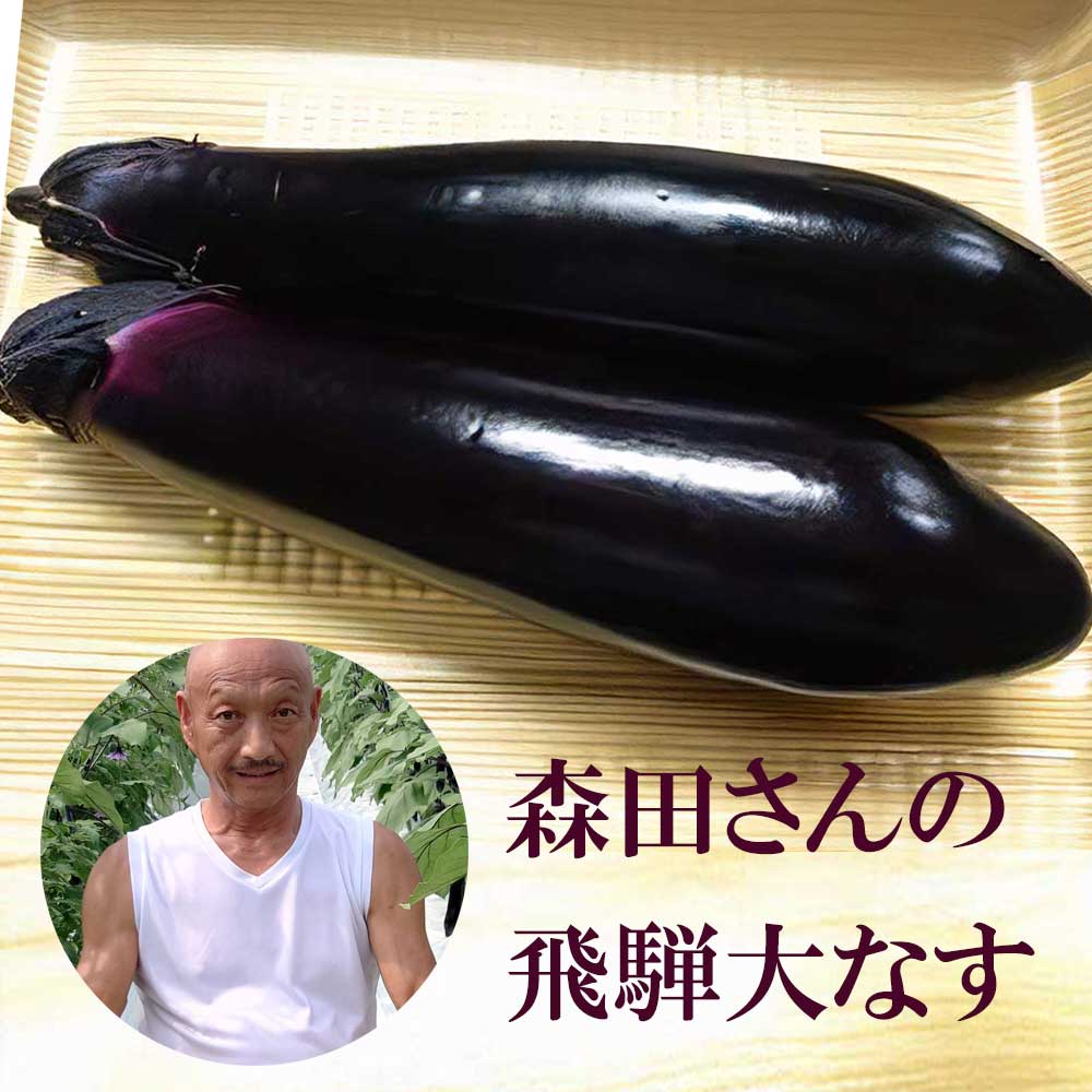 なすお出品 野菜・フルーツ>森田さん 飛騨大なす 2本 ナス 茄子 岐阜県 国産