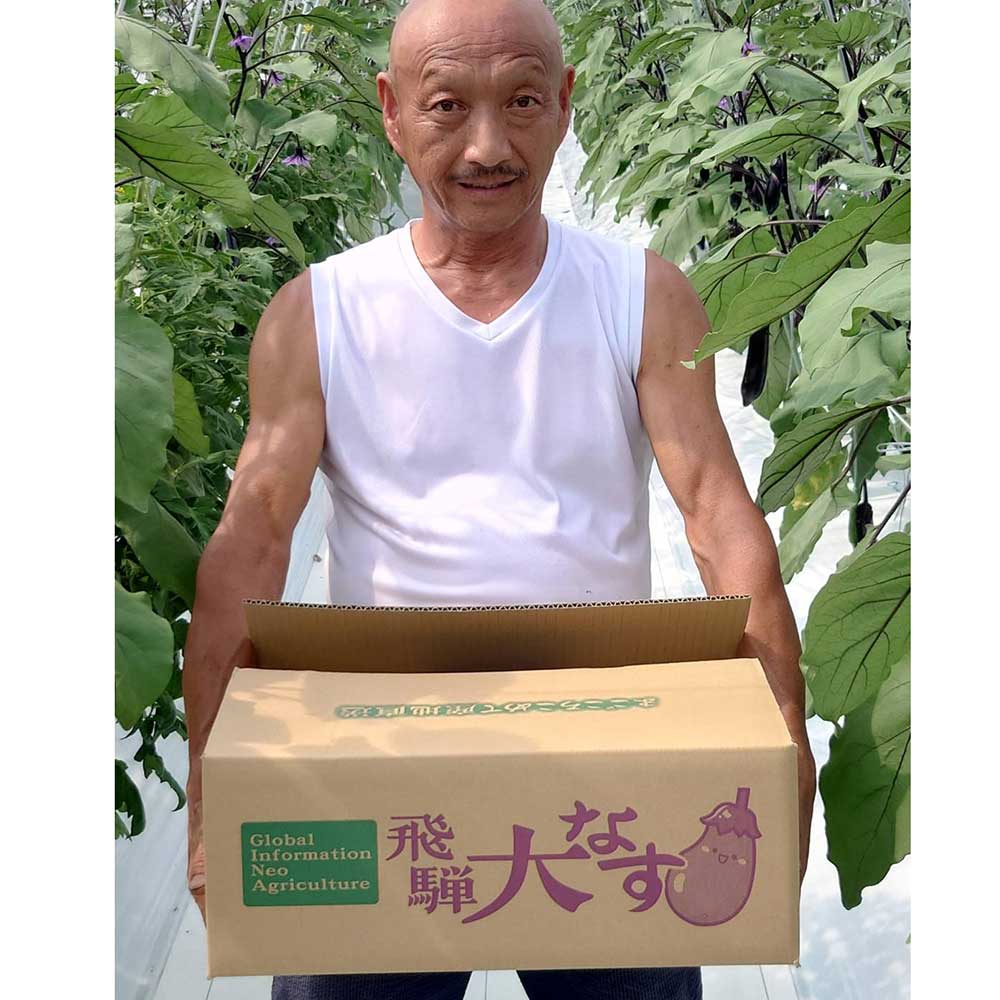 なすさん 彩ミックスなすセット（おまかせ8本）｜大阪中央卸売市場の目利き推薦