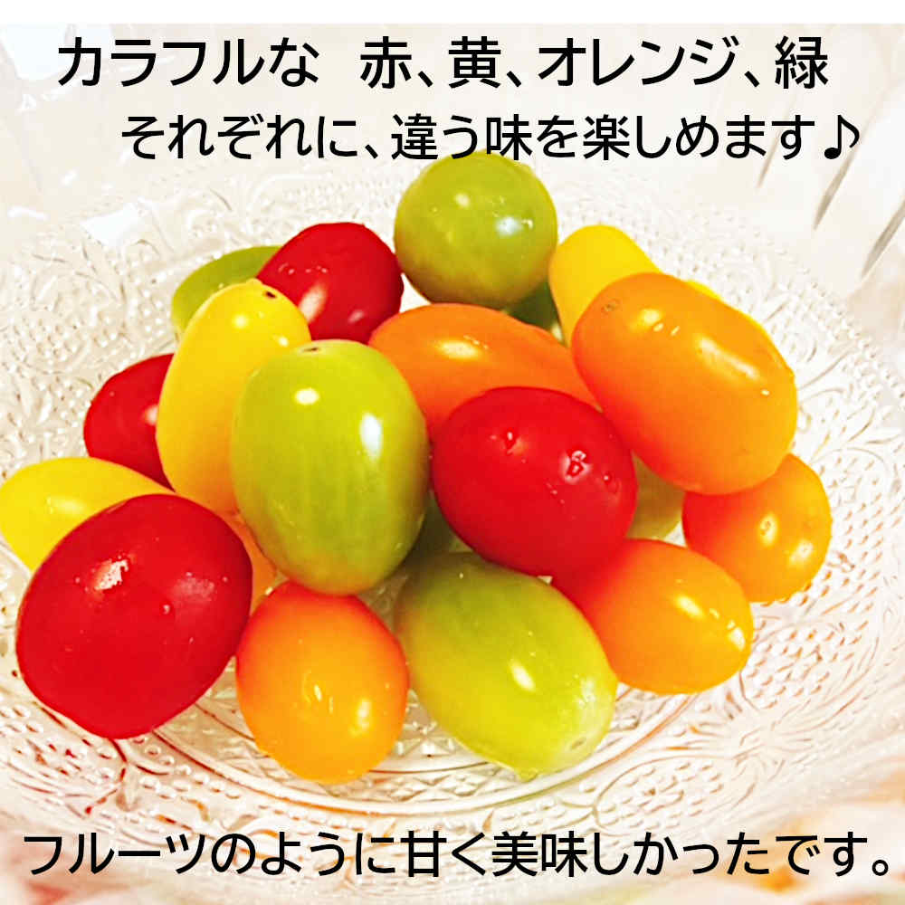 【アップルBOXクリエート】少年台風①〜⑥＋番外編 アップルBOXクリエート編集部 (@IRUlnxG5wN4EE5V) / Posts / X