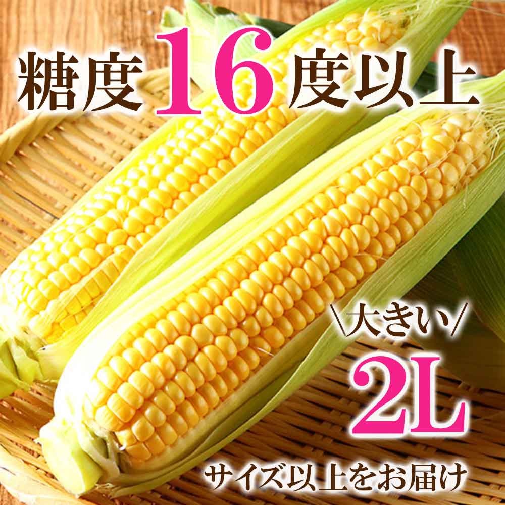 高糖度 しろうまコーン　予約ページ 高糖度 しろうまコーン 予約ページ とうもろこし 桃より甘い 最高糖度