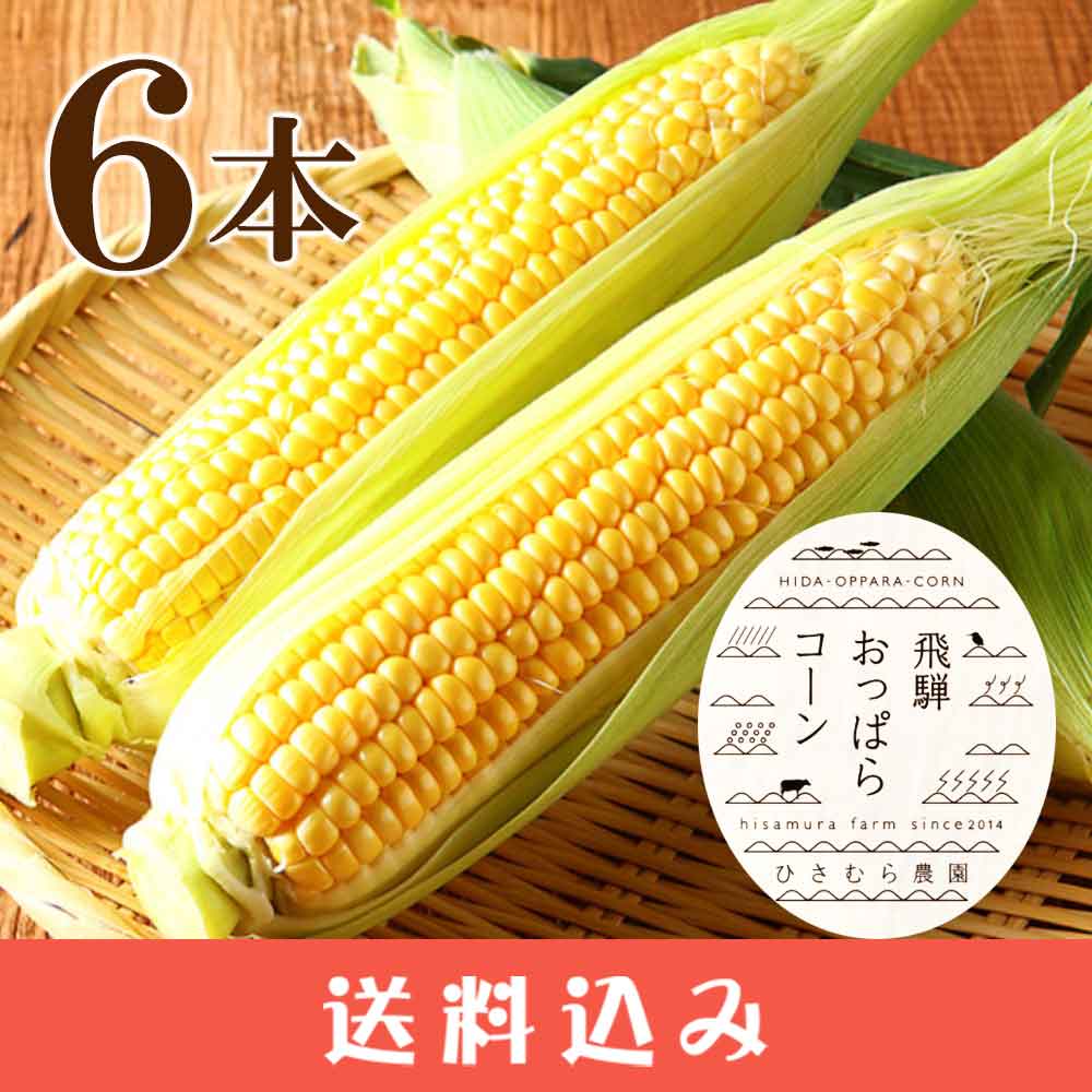 大地の子〈6枚組〉 野菜・フルーツ,飛騨おっぱらコーン（8月）>【予約8月上旬～下旬