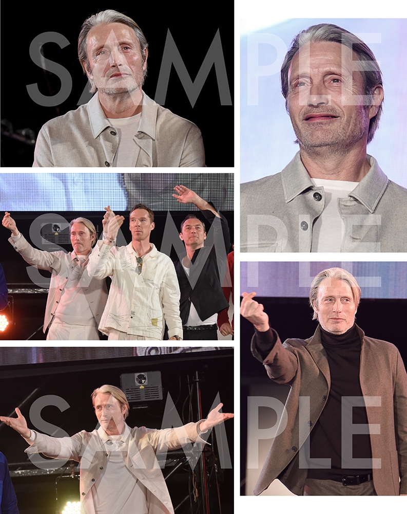 韓国ブランド通販サイト マッツ・ミケルセン直筆サイン入り2Lサイズ  