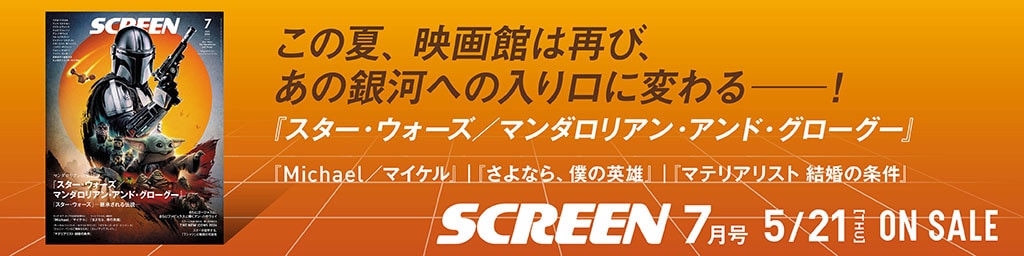 SCREEN STORE