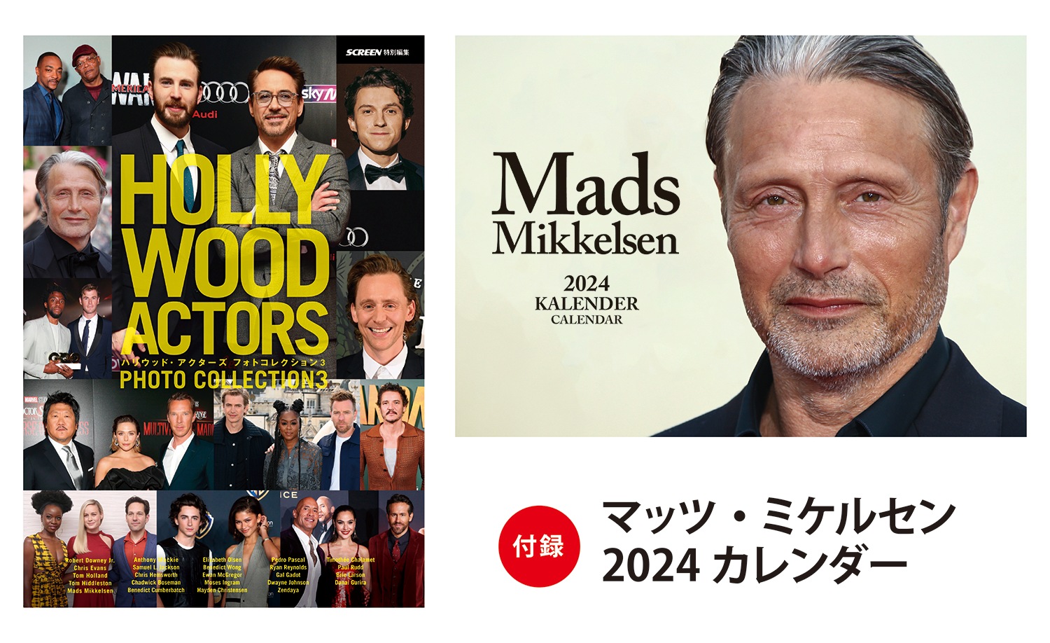 HOLLYWOOD ACTORS マッツ・ミケルセン 2024年カレンダー付 - その他