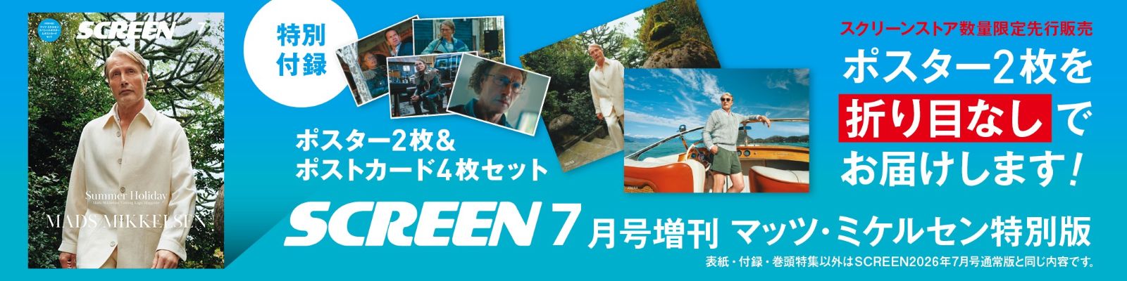 SCREEN STORE