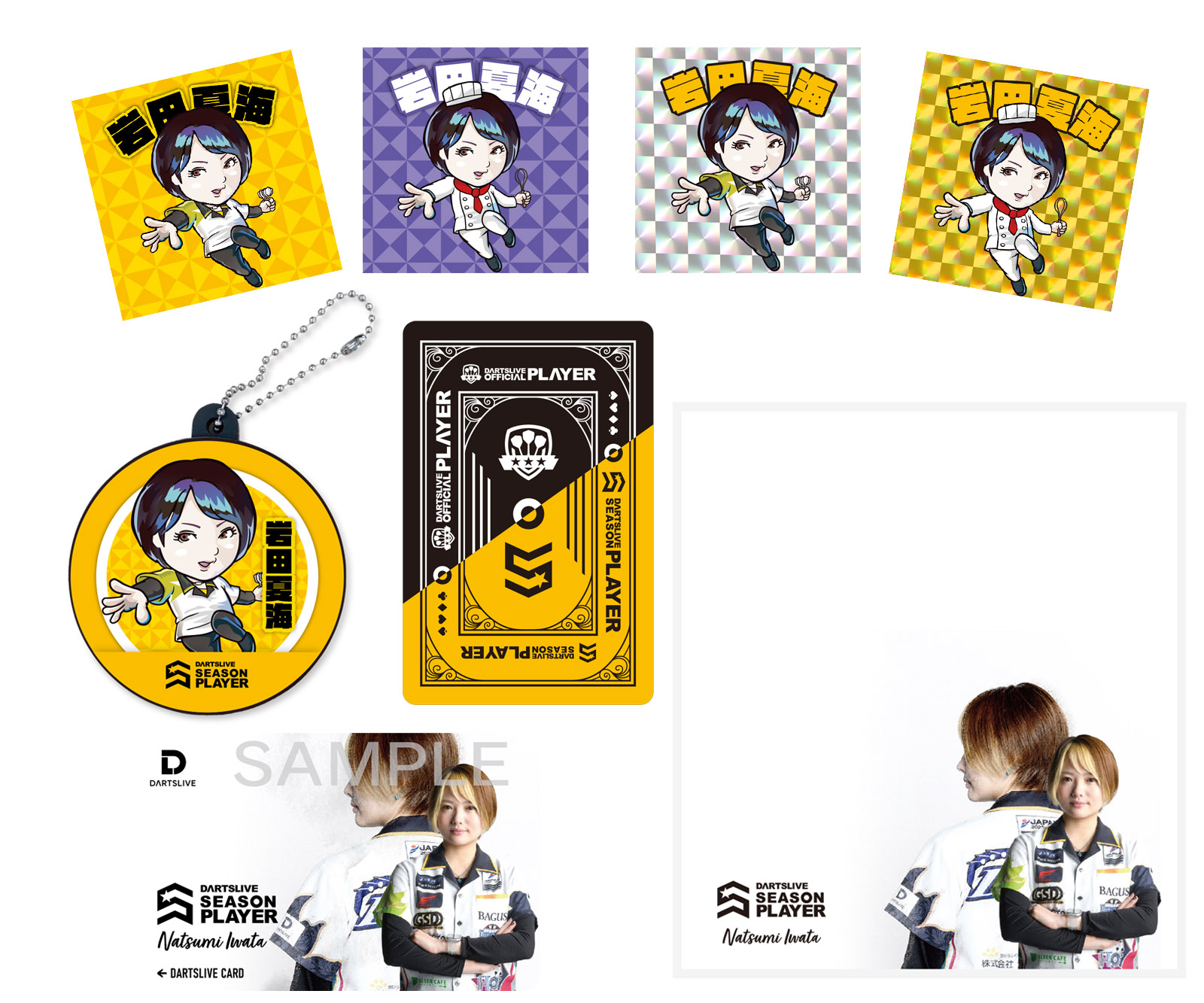 DARTS ACCESSORY【DARTSLIVE】DARTSLIVE PLAYER GOODS 岩田夏海選手 SET