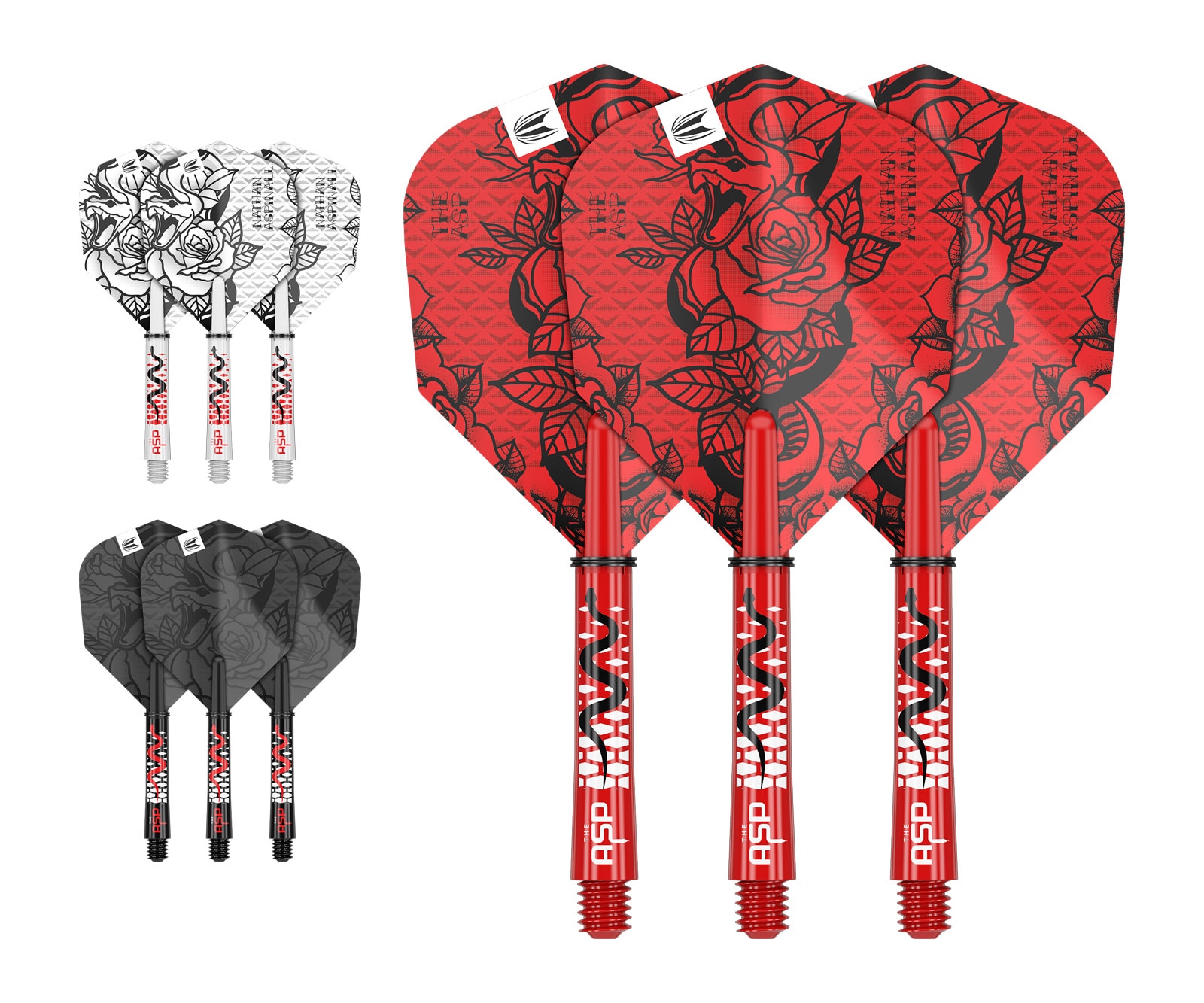 DARTS FLIGHT【TARGET】Nathan Aspinall Model INK Flight&Shaft Kit Short 3Set 420004