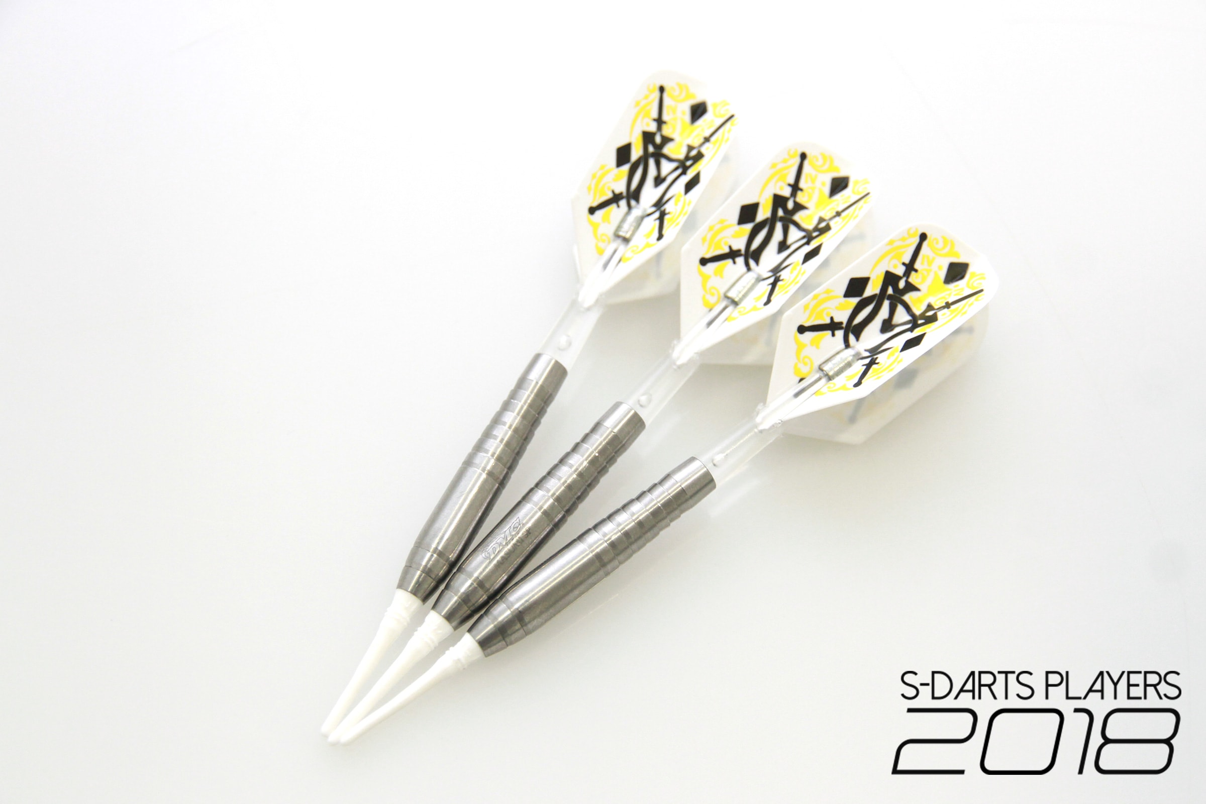 S-DARTS PLAYERS 2018│知野 真澄