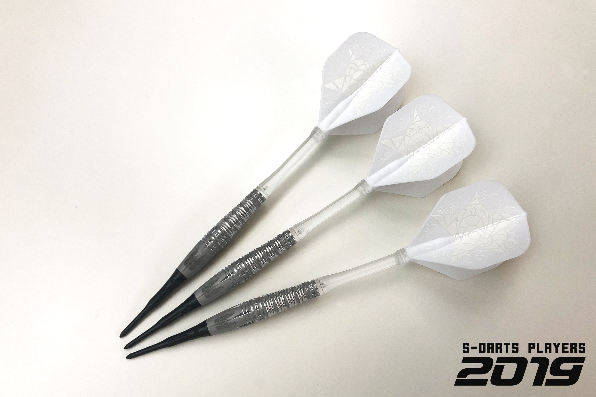 S-DARTS PLAYERS 2019│星野 光正