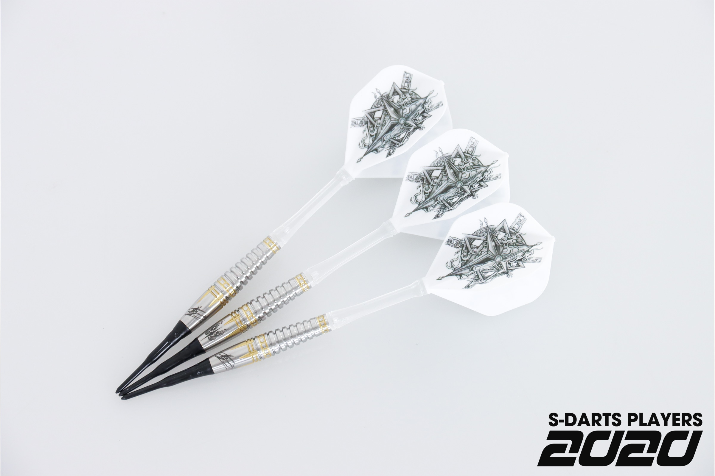 S-DARTS PLAYERS 2020┃星野光正
