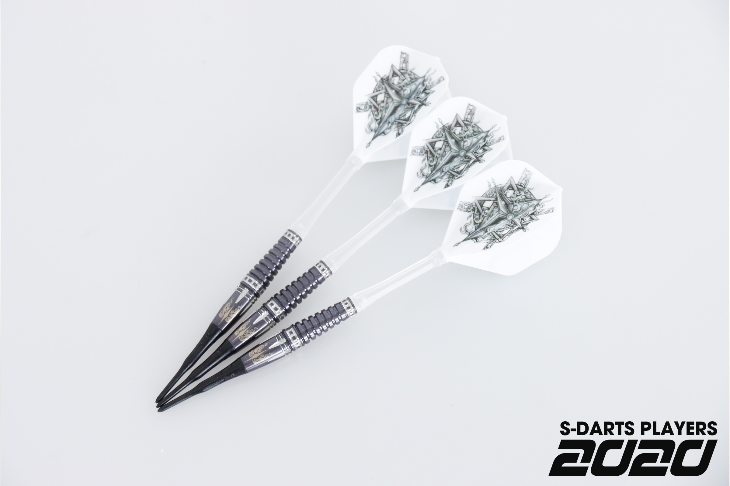 S-DARTS PLAYERS 2020┃星野光正