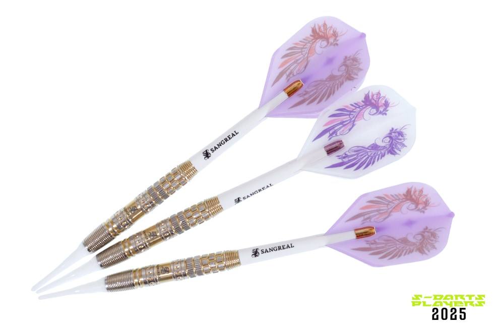 S-DARTS PLAYERS 2025│小野 恵太