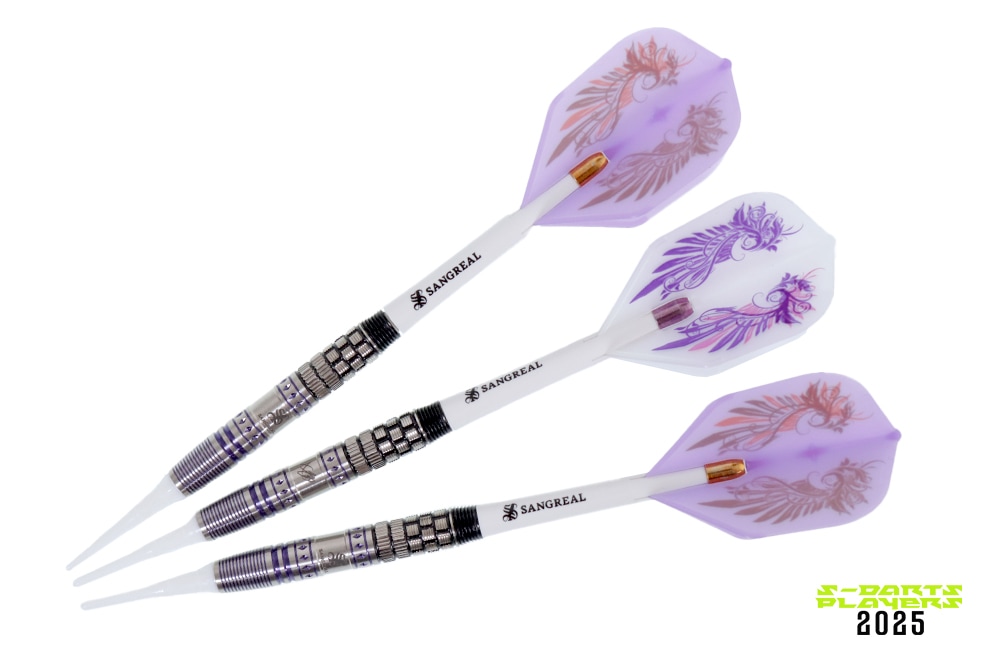 S-DARTS PLAYERS 2025│小野 恵太