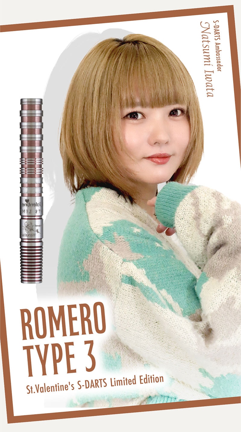 ダーツショップ エスダーツ