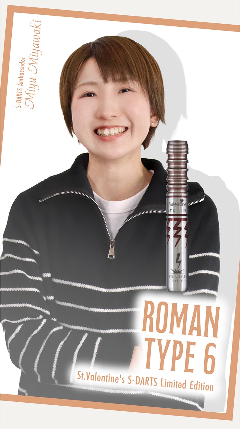 ダーツショップ エスダーツ