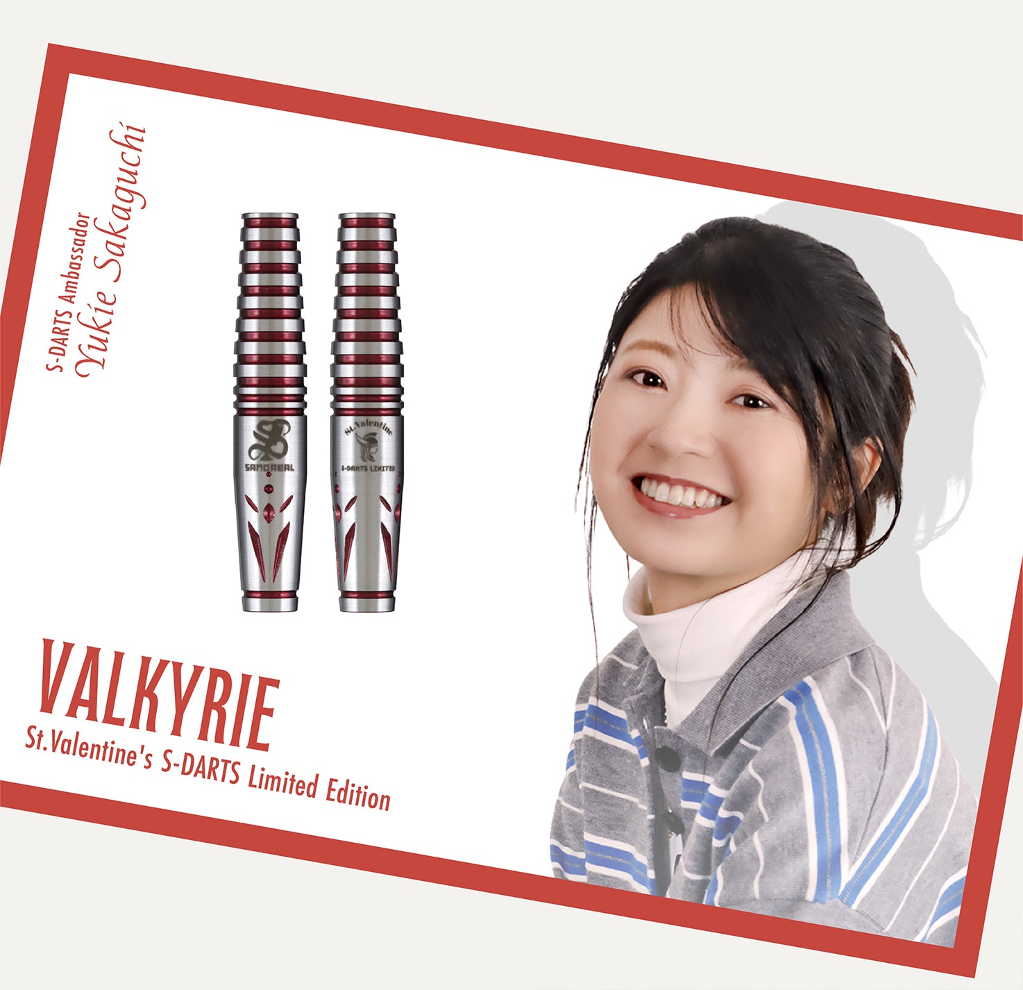 ダーツショップ エスダーツ