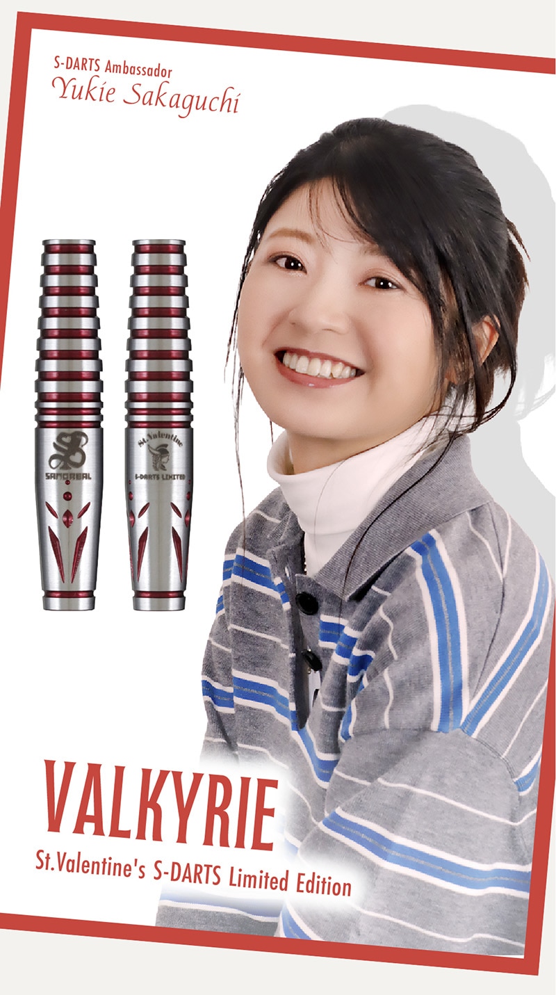 ダーツショップ エスダーツ