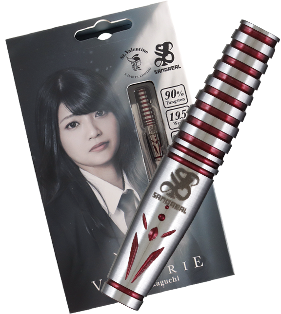 ダーツショップ エスダーツ