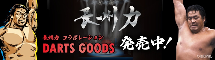 ほぼ未使用 森窪龍己モデル マイダーツ3本 ケース付き ほぼ未使用 森窪龍己モデル マイダーツ3本 ケース付き 楽天市場