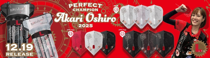 ダーツショップ エスダーツ