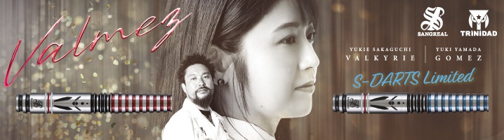 ダーツショップ エスダーツ