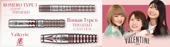 ダーツショップ エスダーツ