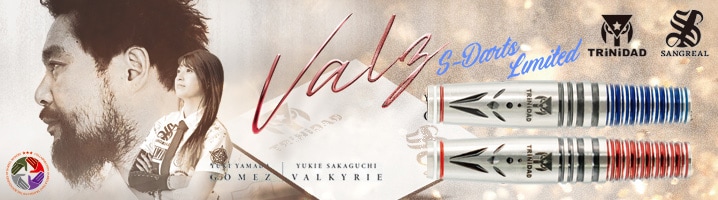 ダーツショップ エスダーツ